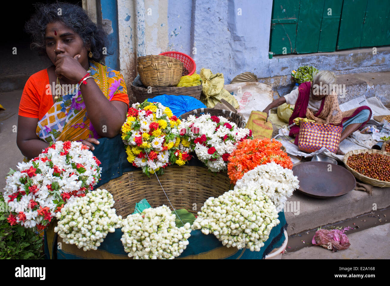 Flowers of tamil nadu hires stock photography and images Alamy