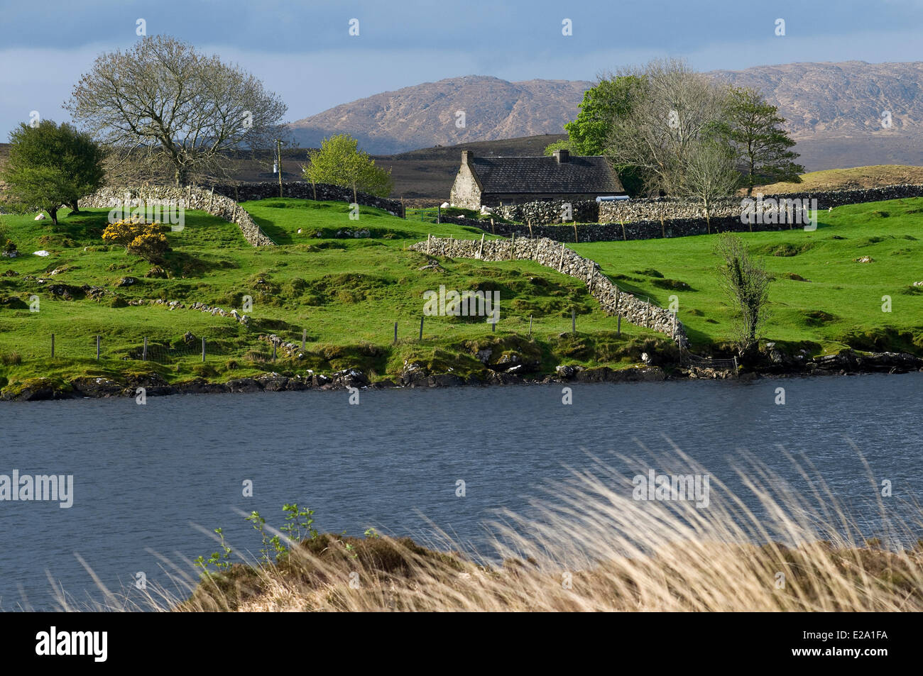 Republic of Ireland, Connemara, Connacht Province, Galway County, landscape of Connemara National Park along the road between Stock Photo