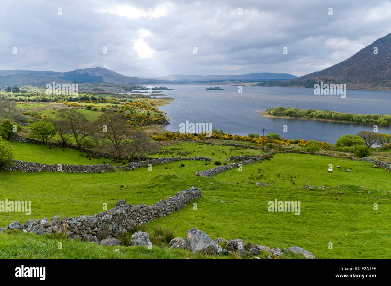 Republic of Ireland, Connemara, Connacht Province, Galway County, Lough Corrib and Inchagoill island from the secondary road Stock Photo