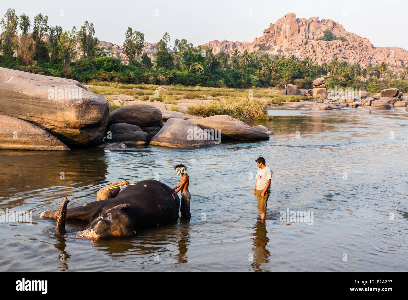 India, Karnataka state, Hampi, Bath of the elephant Lakshmi Stock Photo