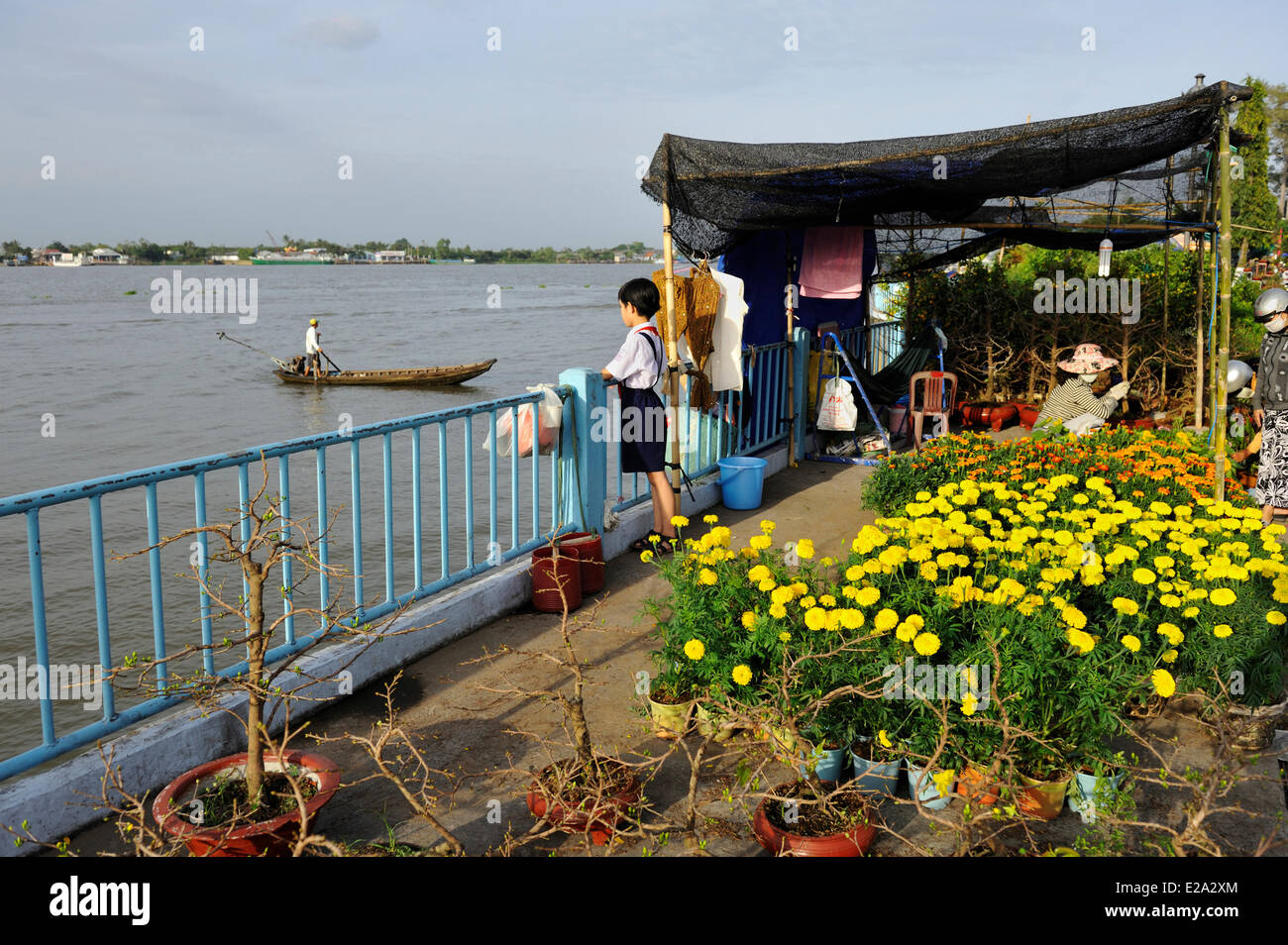 Vietnam, Vinh Long province, Mekong delta, Vinh Long, flower market for the vietnamese new year Stock Photo