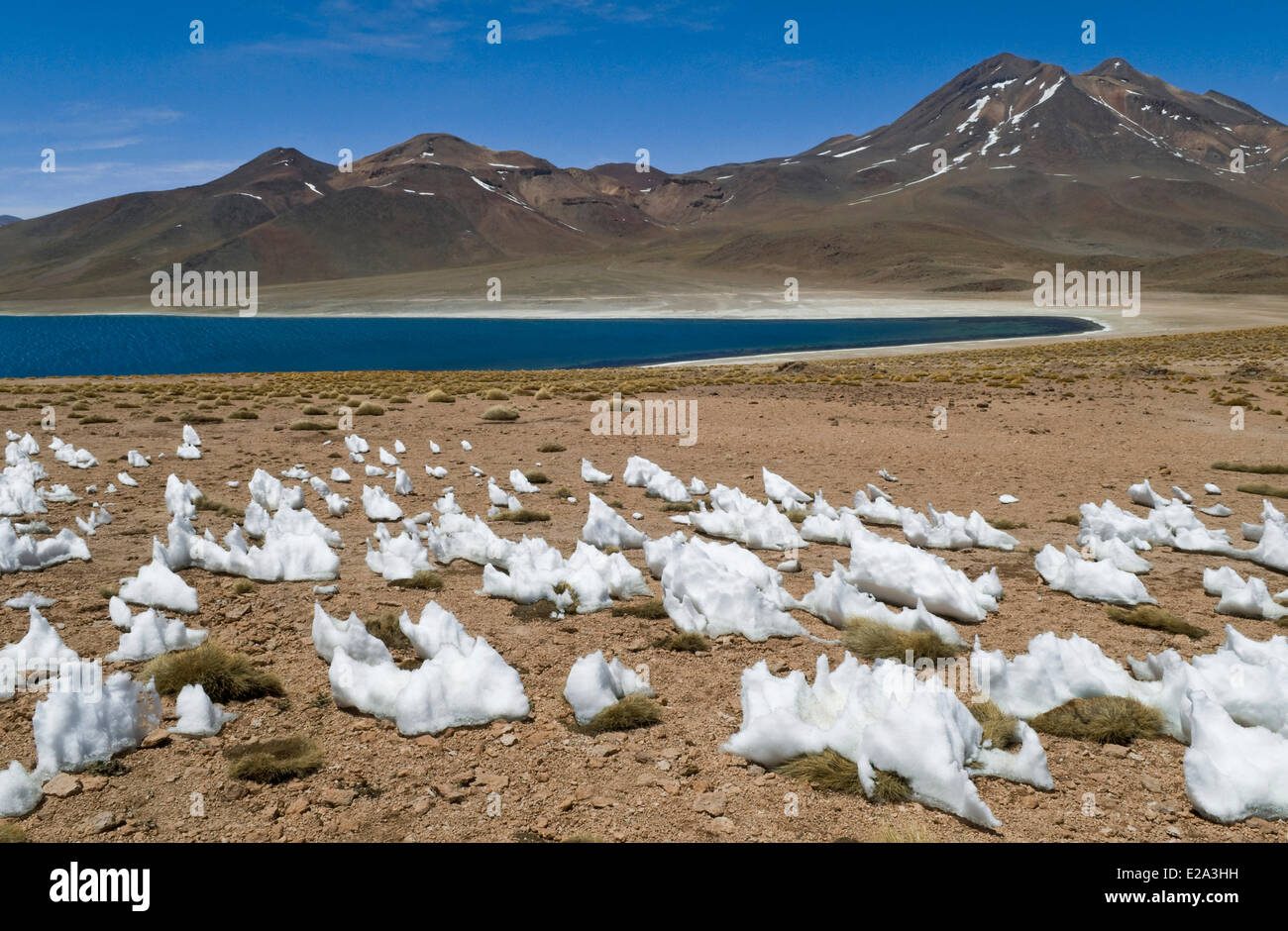 Chile, Antofagasta Region, Altiplano, Atacama Desert, Los Flamencos National Reserve, Laguna Miscanti (4200 m) in the Andes Stock Photo