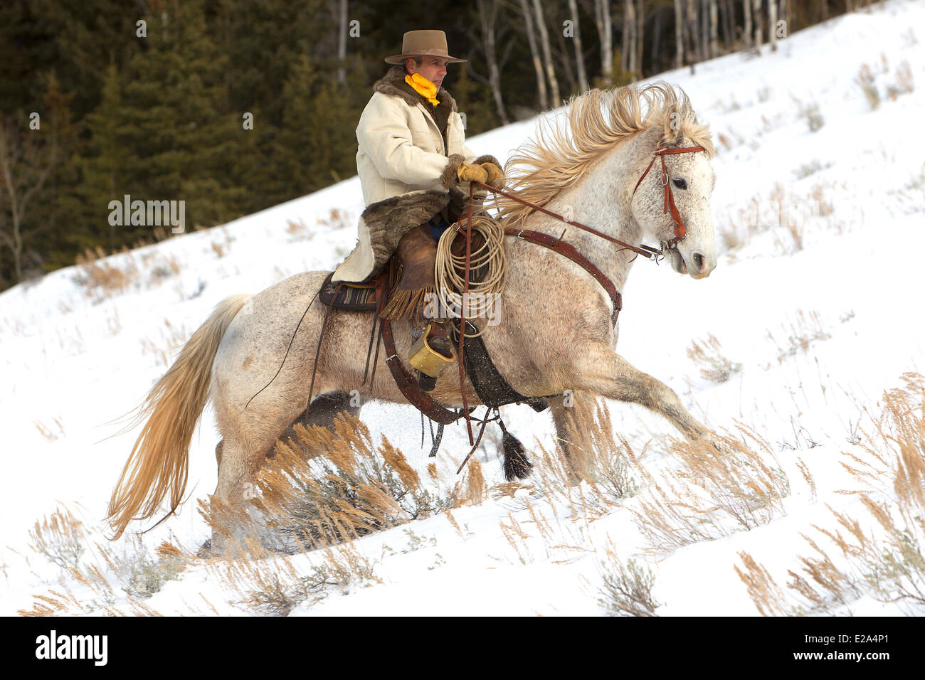 Shell P Ranch Hideout ranch snow cowboy hi-res stock photography and images - Alamy