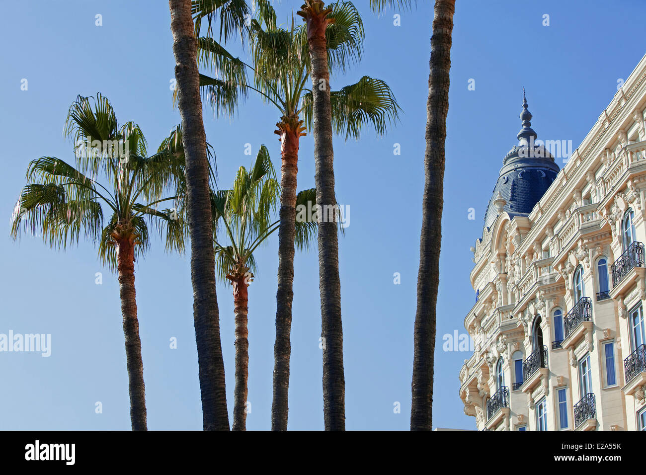 France, Alpes Maritimes, Cannes, Hotel Carlton, Compulsory Mention Stock Photo