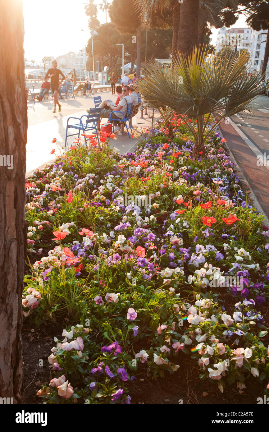 France, Alpes Maritimes, Cannes, Boulevard de La Croisette Stock Photo