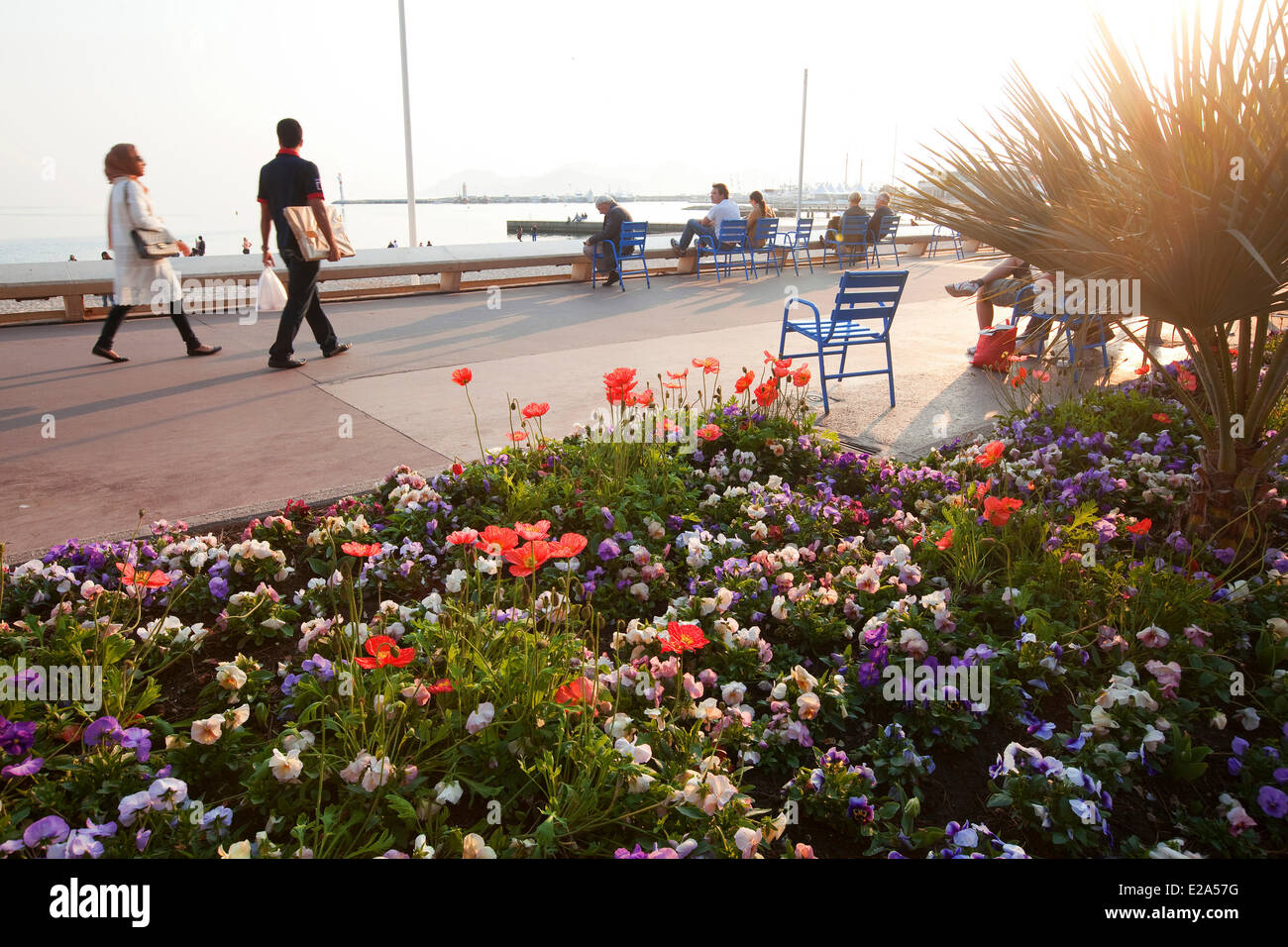 France, Alpes Maritimes, Cannes, Boulevard de La Croisette Stock Photo