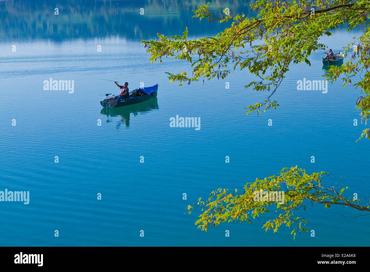 France, Savoie, Lac d'Aiguebelette (Aiguebelette lake) near Chambery, fishing Goregone (Lavaret) Stock Photo