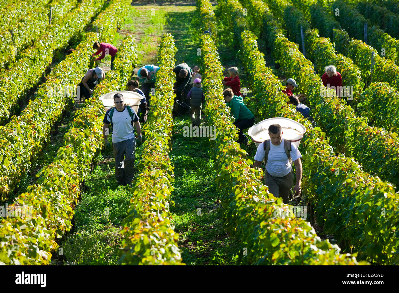 Savoie wine hi-res stock photography and images - Page 3 - Alamy