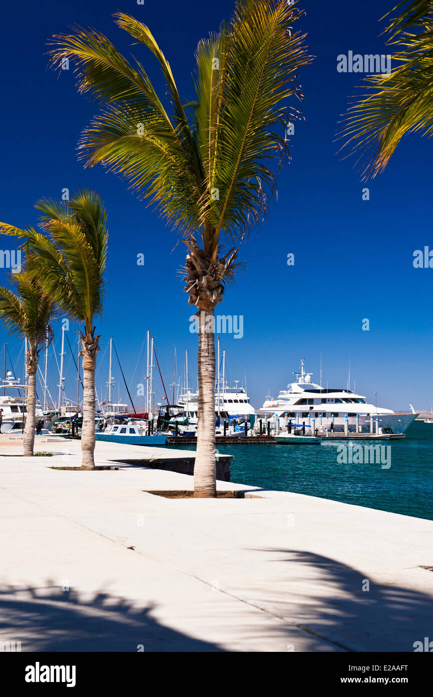 Mexico, Baja California Sur state, La Paz Stock Photo Alamy