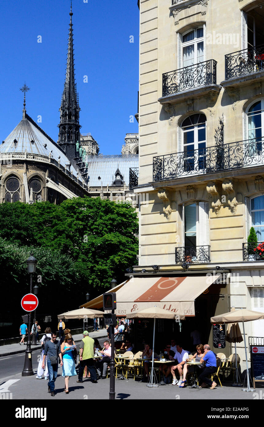 France, Paris, Ile de la Cite, Notre Dame cathedral seen from Saint