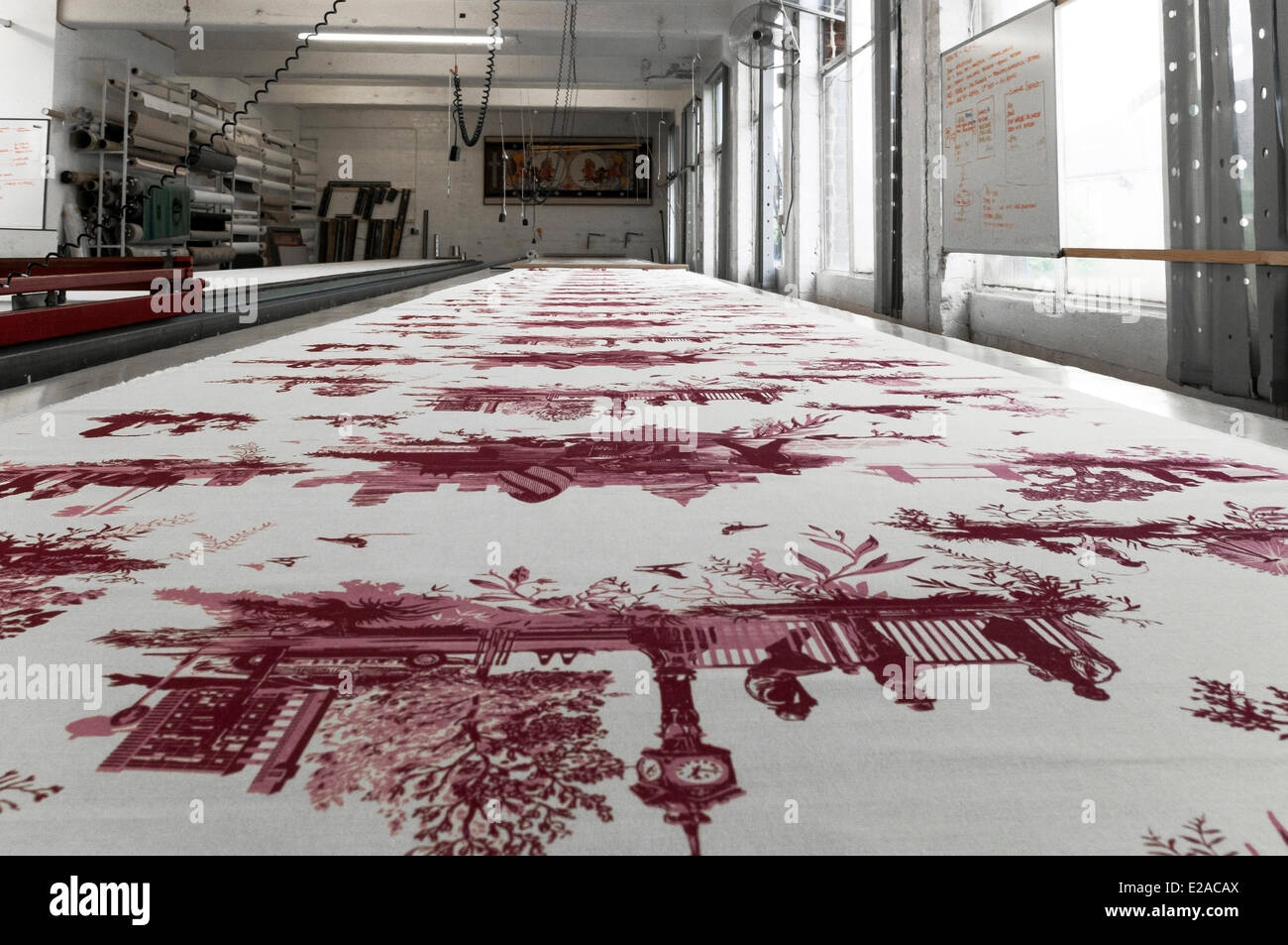 Timorous High Resolution Stock Photography And Images Alamy Timorous High Resolution Stock Photography And Images Alamy