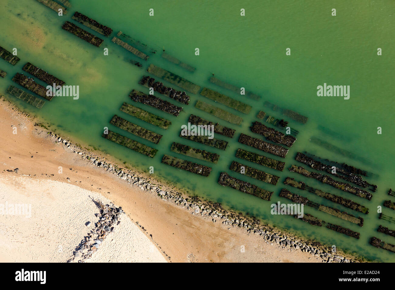 France, Vendee, Talmont Saint Hilaire, oyster farm in the Havre du ...