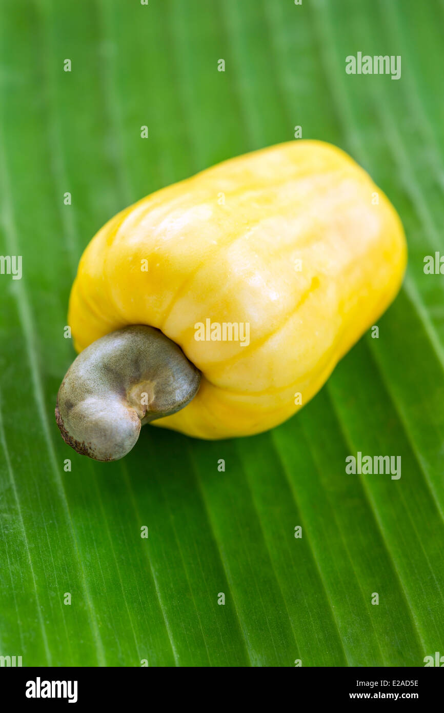 Cashew nut fruit on the green leaf background Stock Photo Alamy