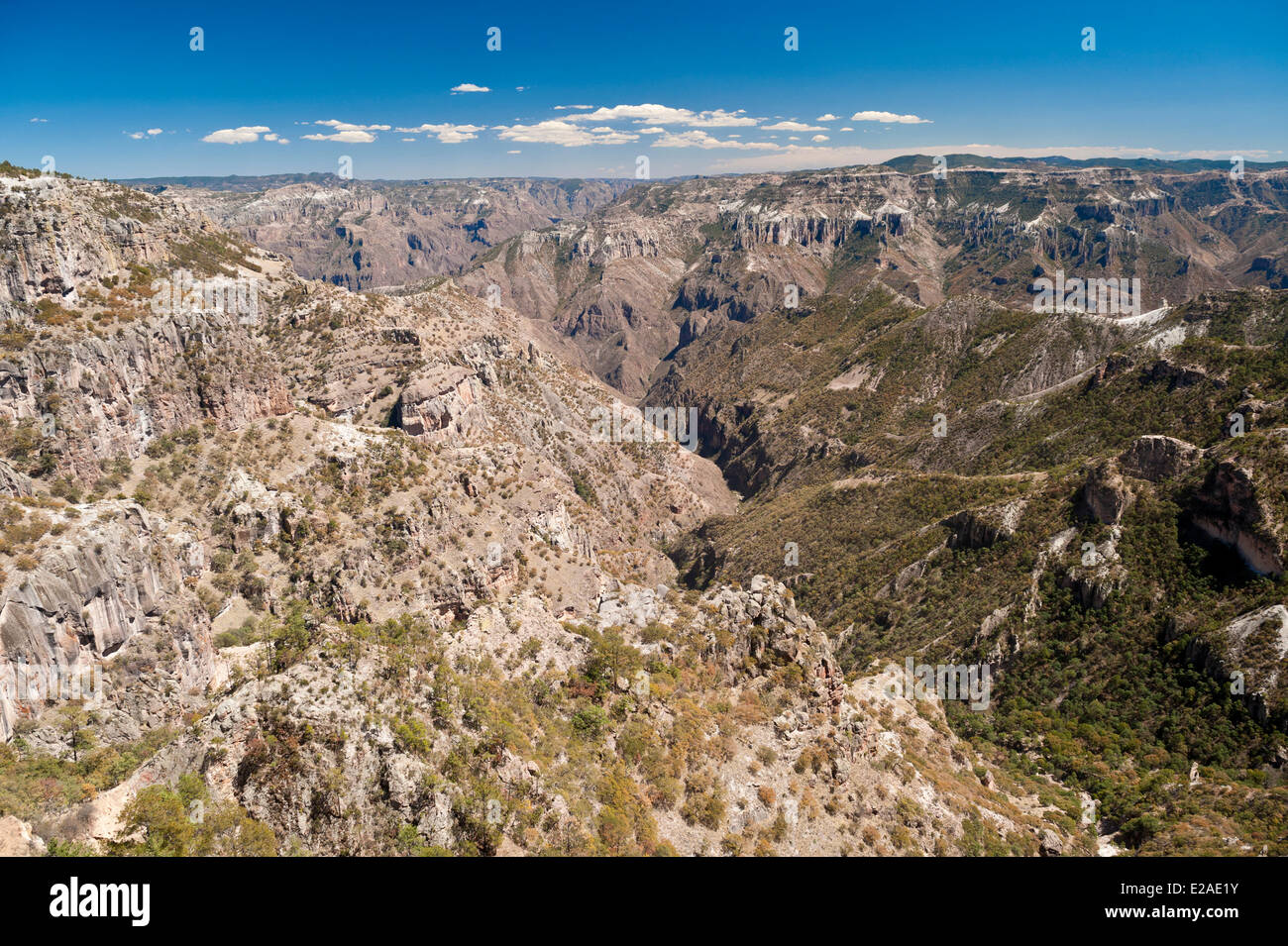 Mexico, Chihuahua State, Barranca del Cobre (Copper Canyon), the railway line (El Chepe) from Los Mochis to Chihuahua, the last Stock Photo