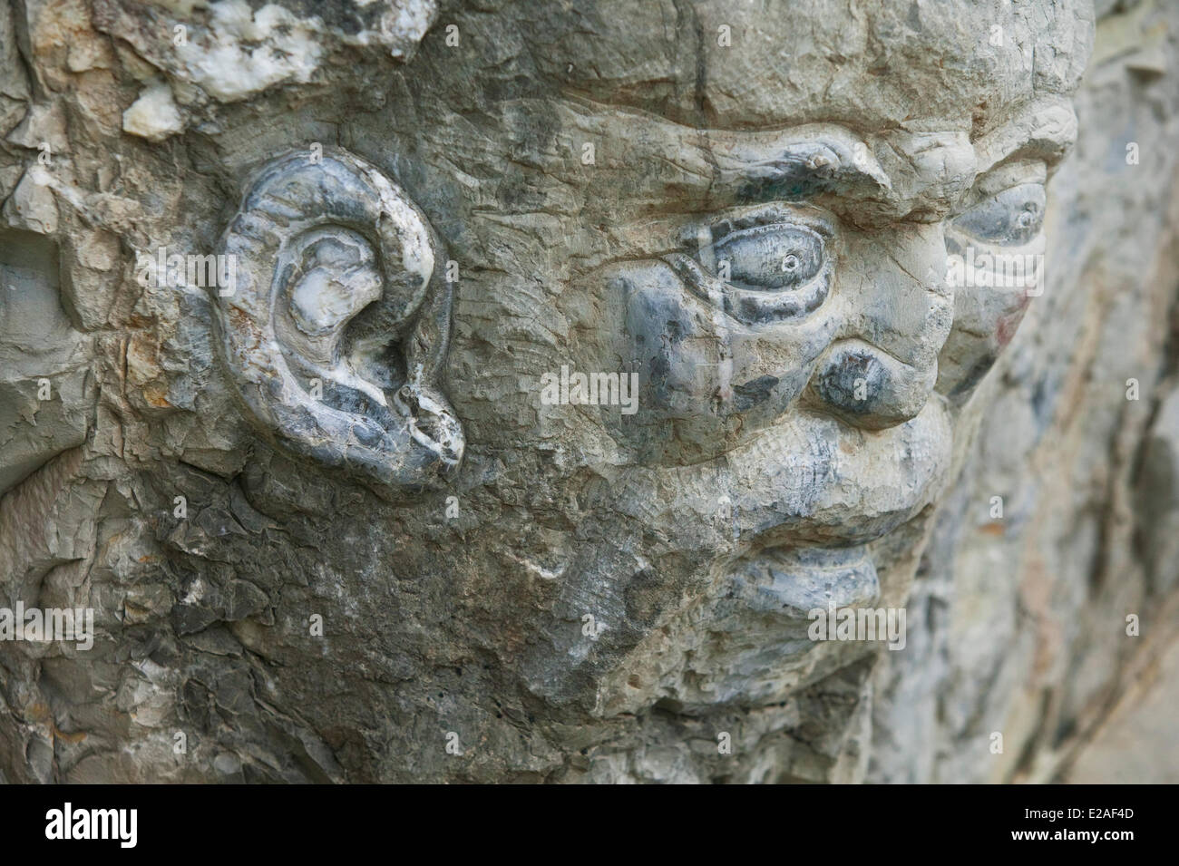 Detail of the rock face hi-res stock photography and images - Alamy