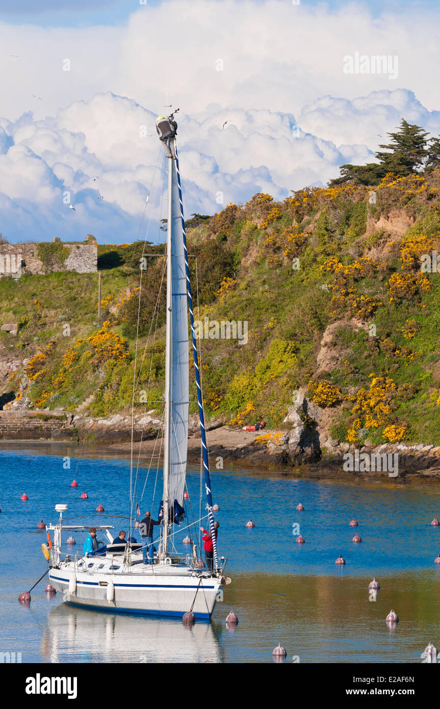 France, Morbihan, Belle Ile en Mer, along the GR340 between Le Palais ...