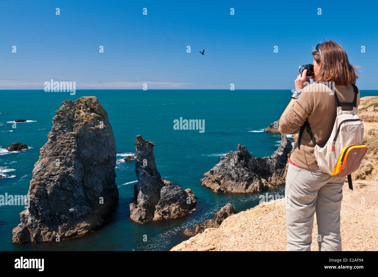France, Morbihan, Belle Ile en Mer, the wild coast, along the GR340 ...