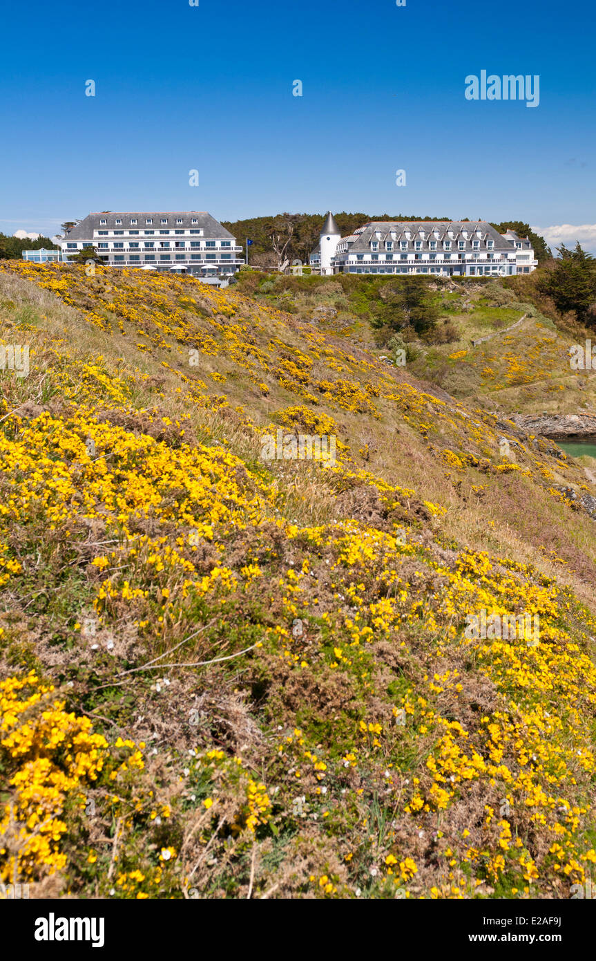 France, Morbihan, Belle Ile en Mer, the wild coast, along the GR340 ...