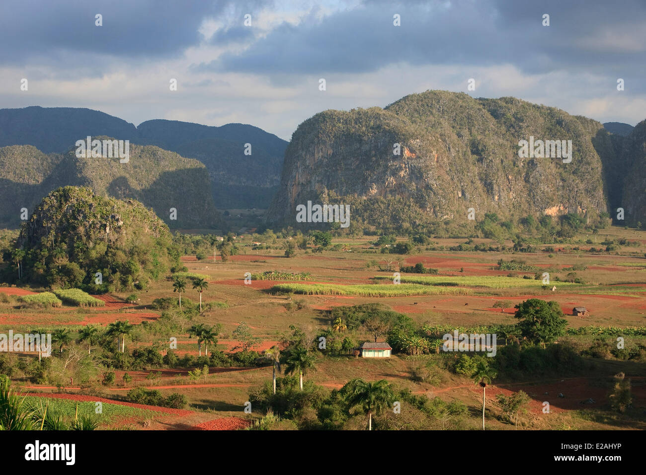 Cuba, Pinar del Rio Province, Vinales Valley listed as World Heritage by UNESCO, Vinales National Park, high angle view of the Stock Photo