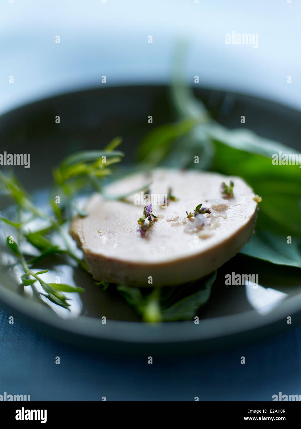 France, Pyrenees Atlantiques, Domezain Berraute, feature: A profession of liver, slice of foie gras Stock Photo
