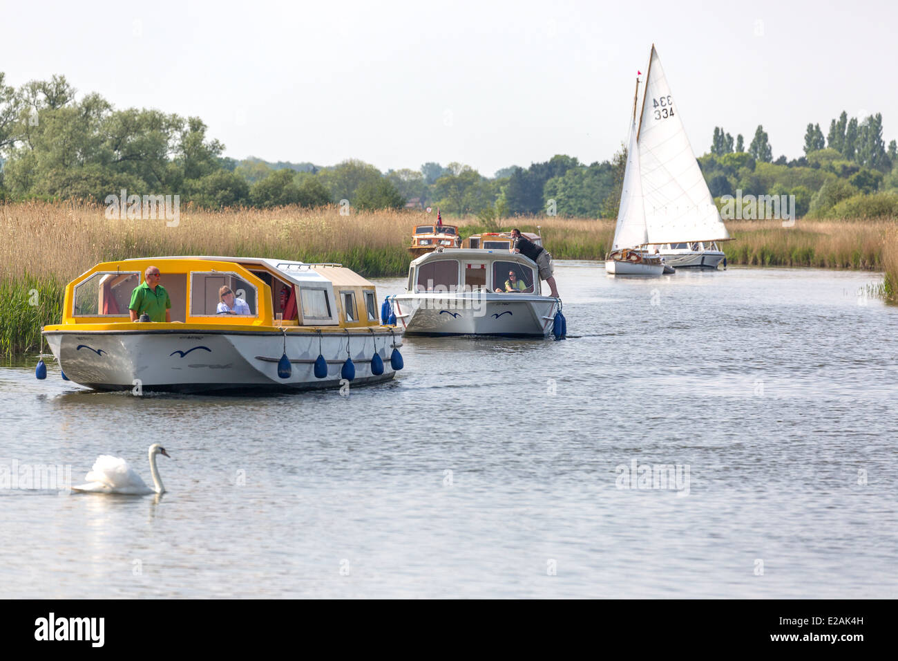 Sailing on the River Bure. Norfolk Broads Norfolk England UK Stock Photo