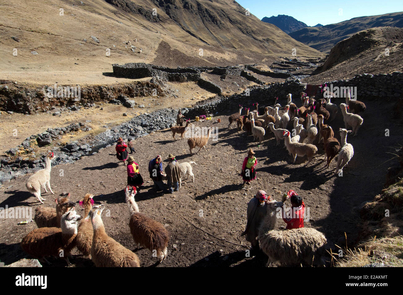 Peru, Carabaya Cordillera, Sinakara Range, Cuzco Province, Q'ero indigenous people, the ultimate descendants of Incas, Hatun Stock Photo