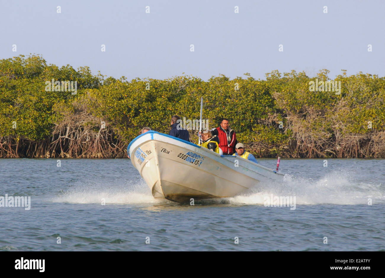 Mexico, Baja California Sur State, Bahia Magdalena, Puerto Lopez Mateos surroundings, Cruising along the mangrove Stock Photo