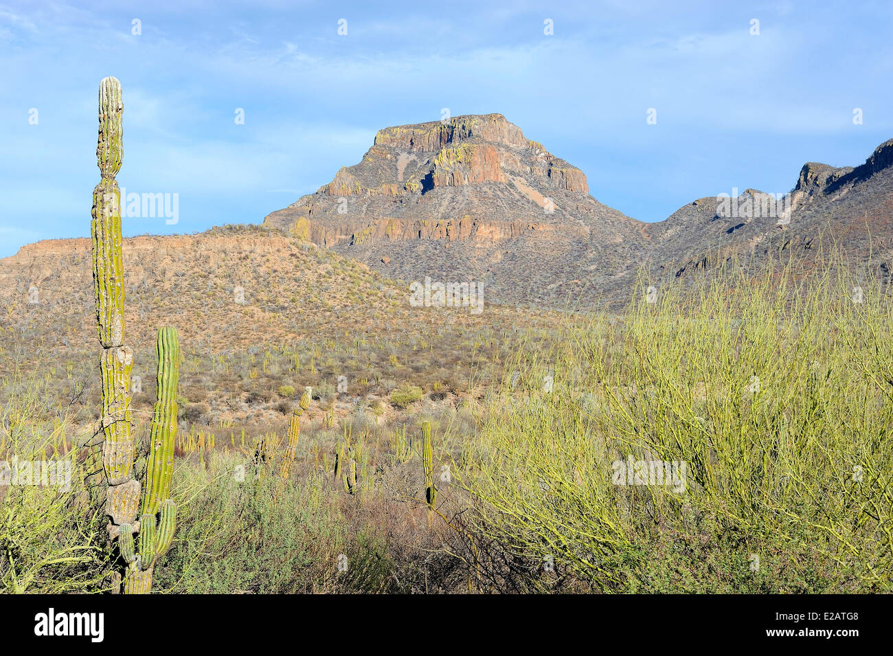 Mexico, Baja California Sur State, Loreto region Stock Photo