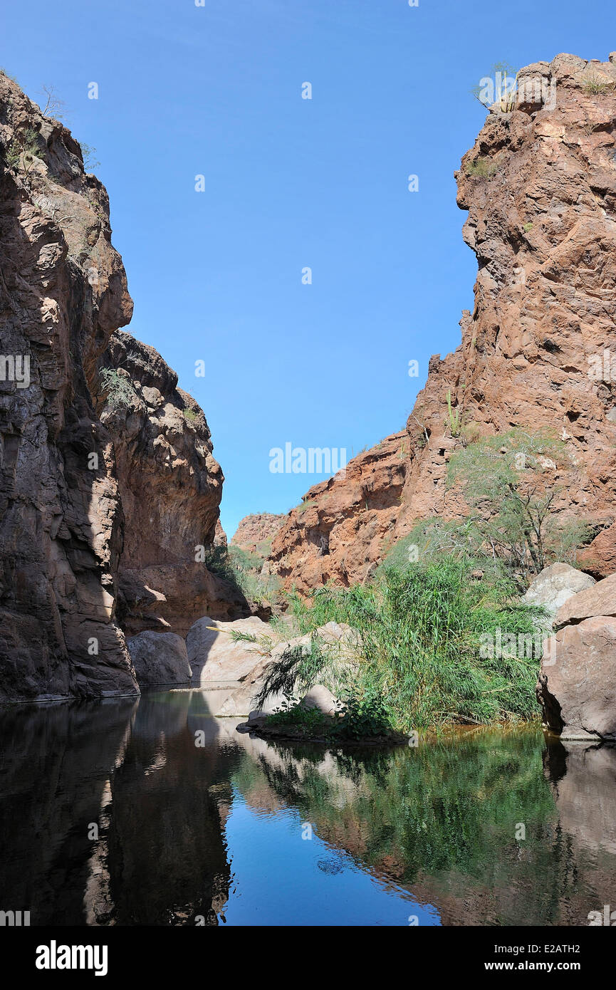Mexico, Baja California Sur State, Mulege surroundings, Canyon La