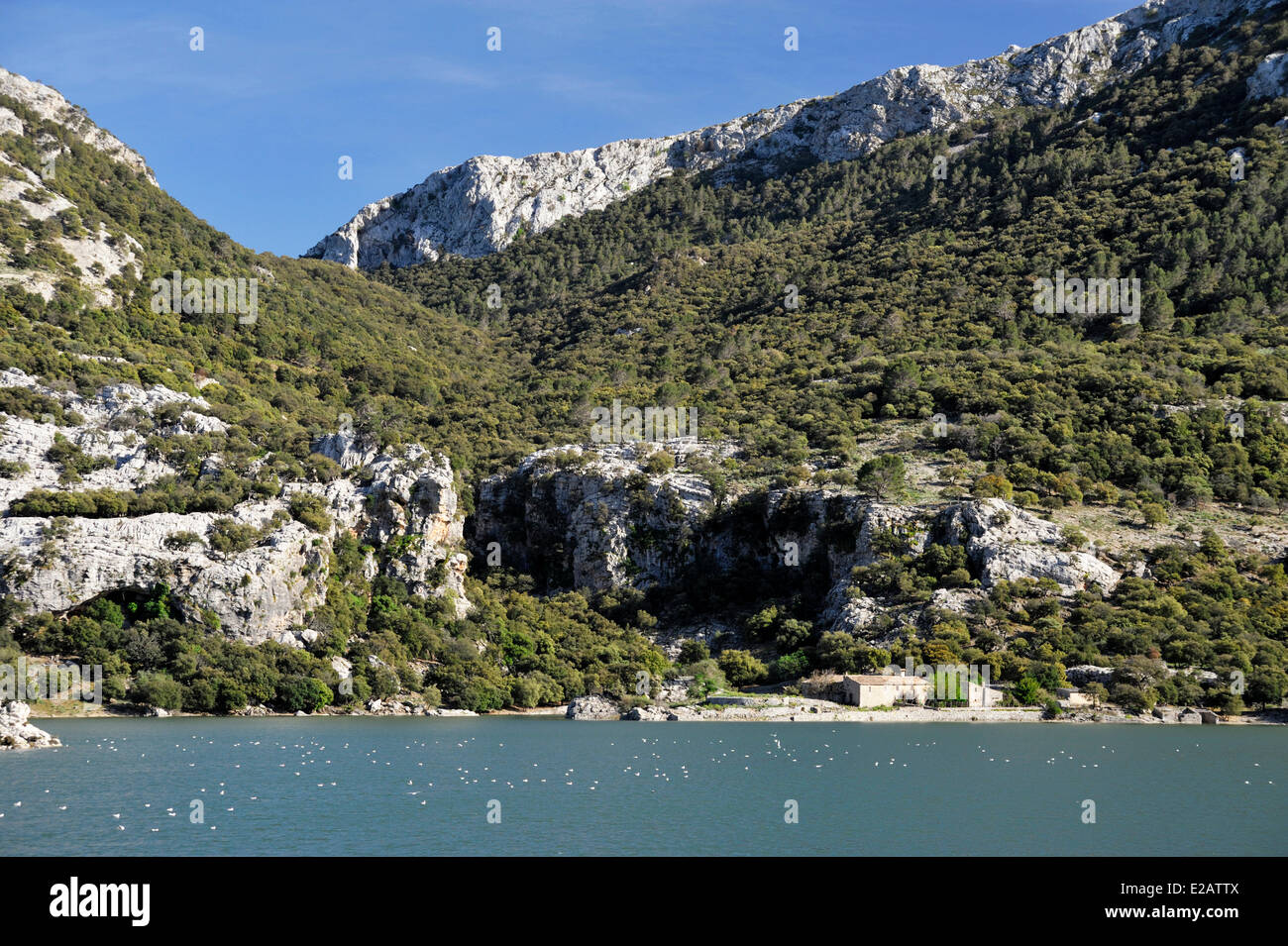 Spain, Balearic Islands, Mallorca, Gorg Blau, lake and barrage, white birds on the water Stock Photo