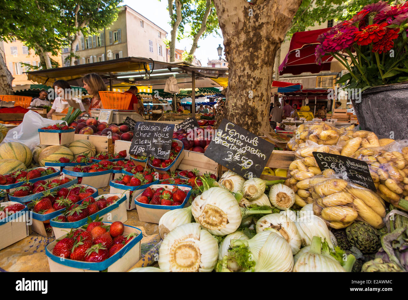 France, Bouches du Rhone, Aix en Provence, market Place Richelme Stock Photo