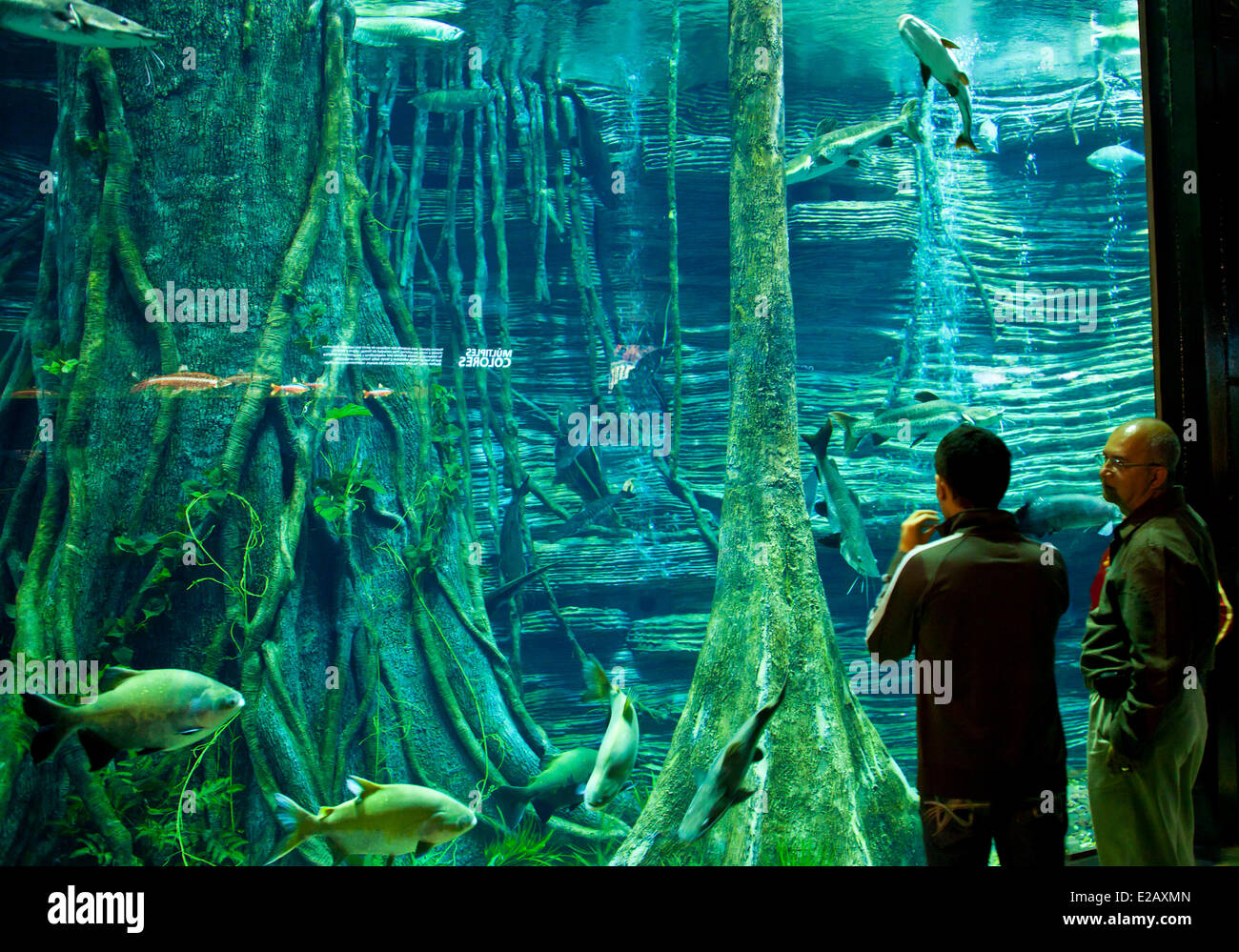 Colombia, Antioquia Department, Medellin, the giant Aquarium of Parque  Explora Stock Photo - Alamy