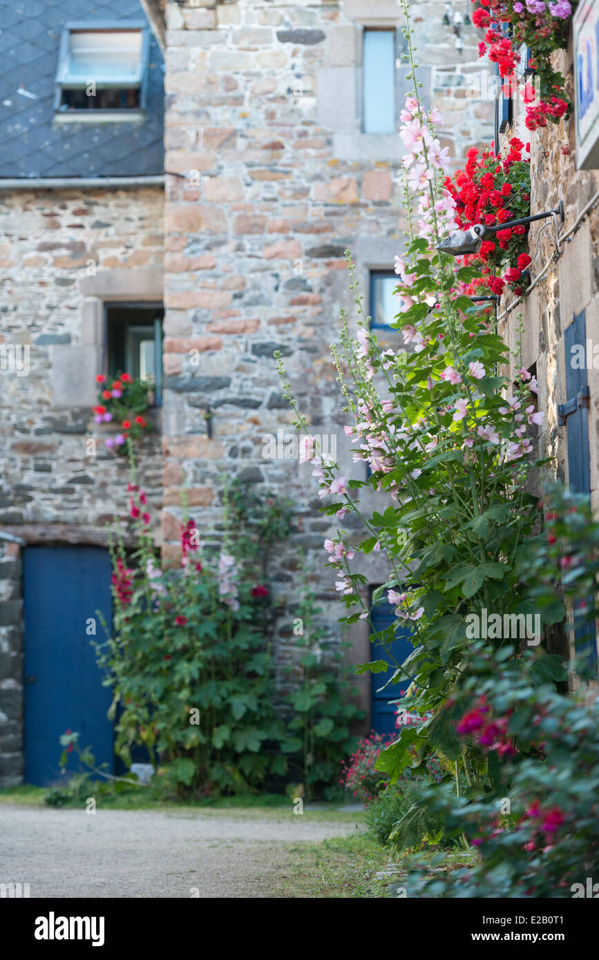 France, Cotes d'Armor, Paimpol, Artisans alley in Rue des Huit patriotes Stock Photo