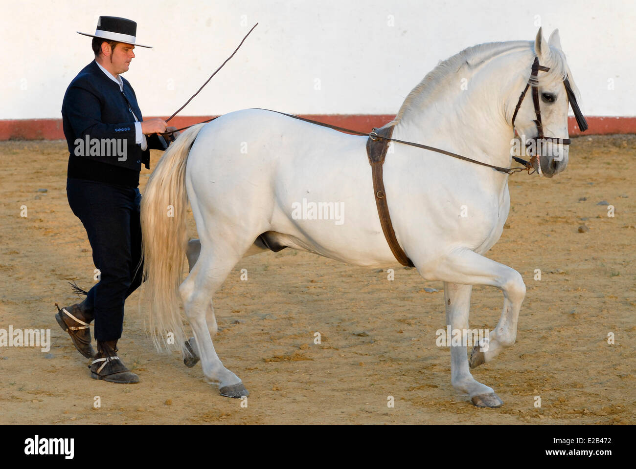 Spain, Andalucia, Guillena Cortijo Aguila Real, a demonstration of dressage of an Andalucian horse Stock Photo