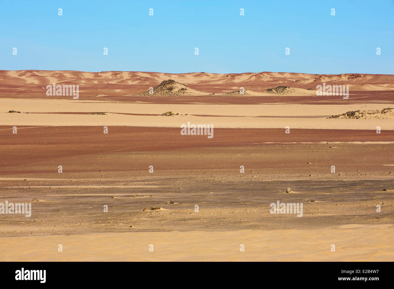 Skeleton desert hi-res stock photography and images - Alamy