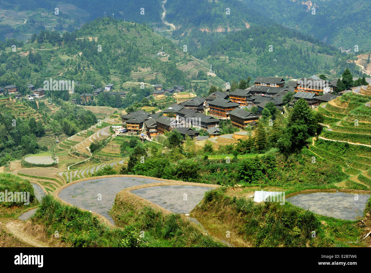 China, Guangxi Province, Longsheng, rice terraces at Longji Stock Photo