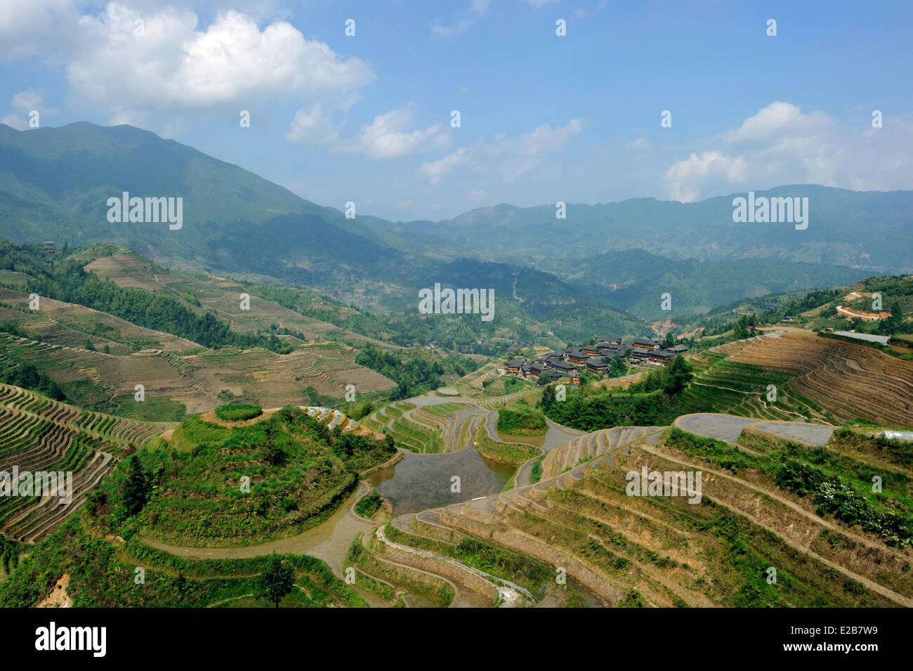 China, Guangxi Province, Longsheng, rice terraces at Longji Stock Photo