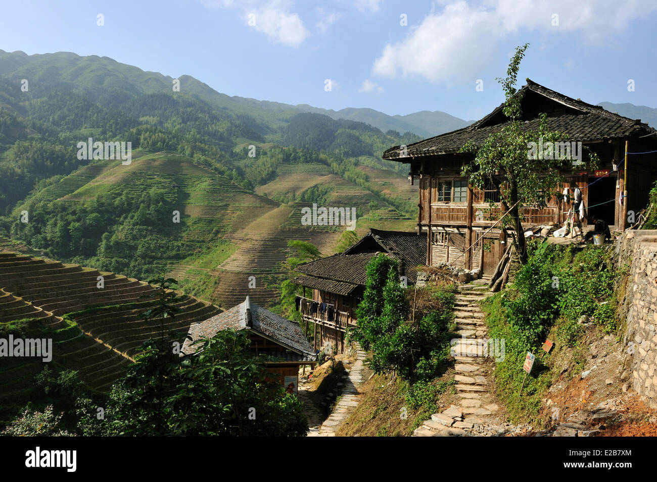 China, Guangxi Province, Longsheng, rice terraces at Longji, Tian Tou Zhai village Stock Photo