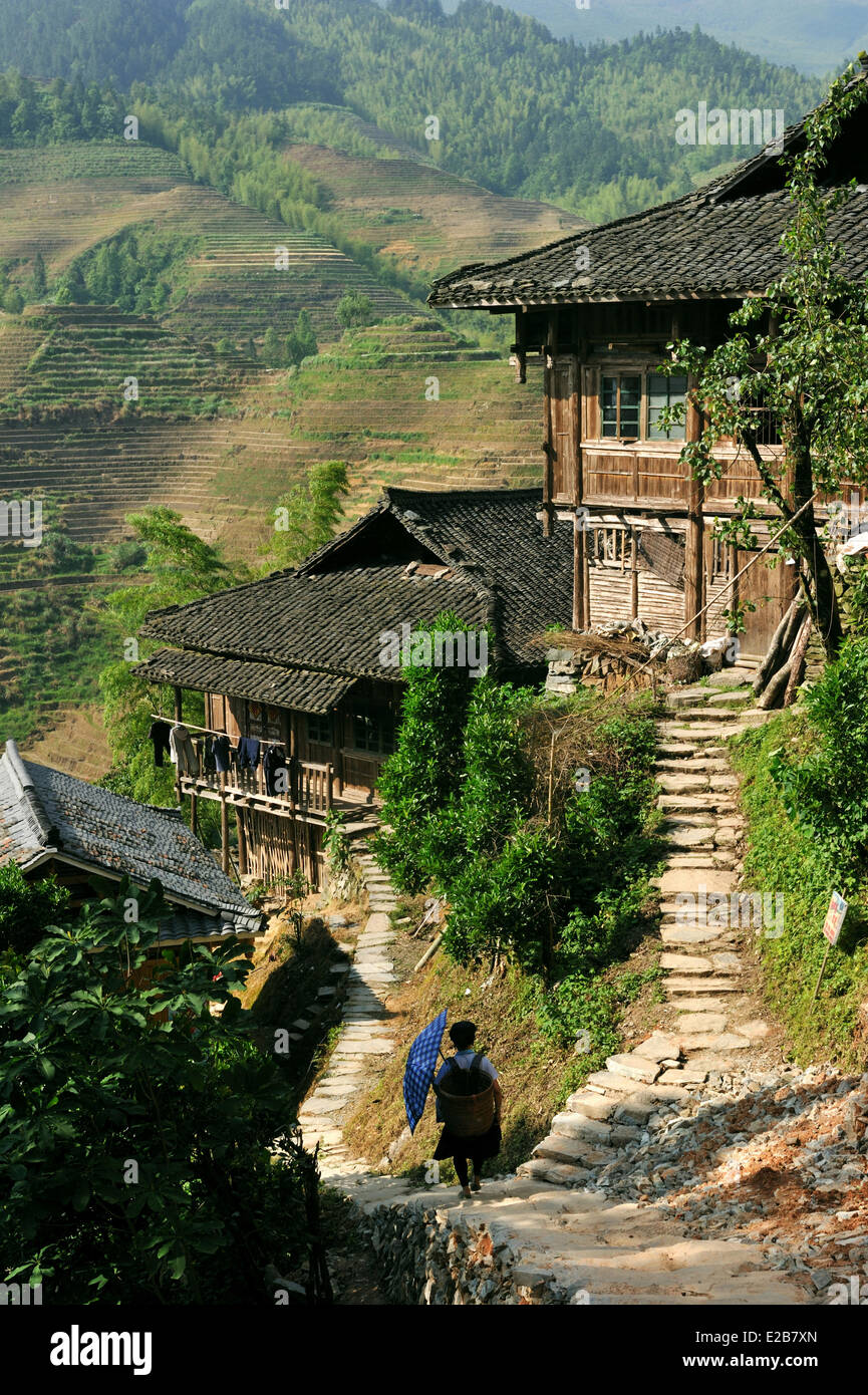 China, Guangxi Province, Longsheng, rice terraces at Longji, Tian Tou Zhai village Stock Photo