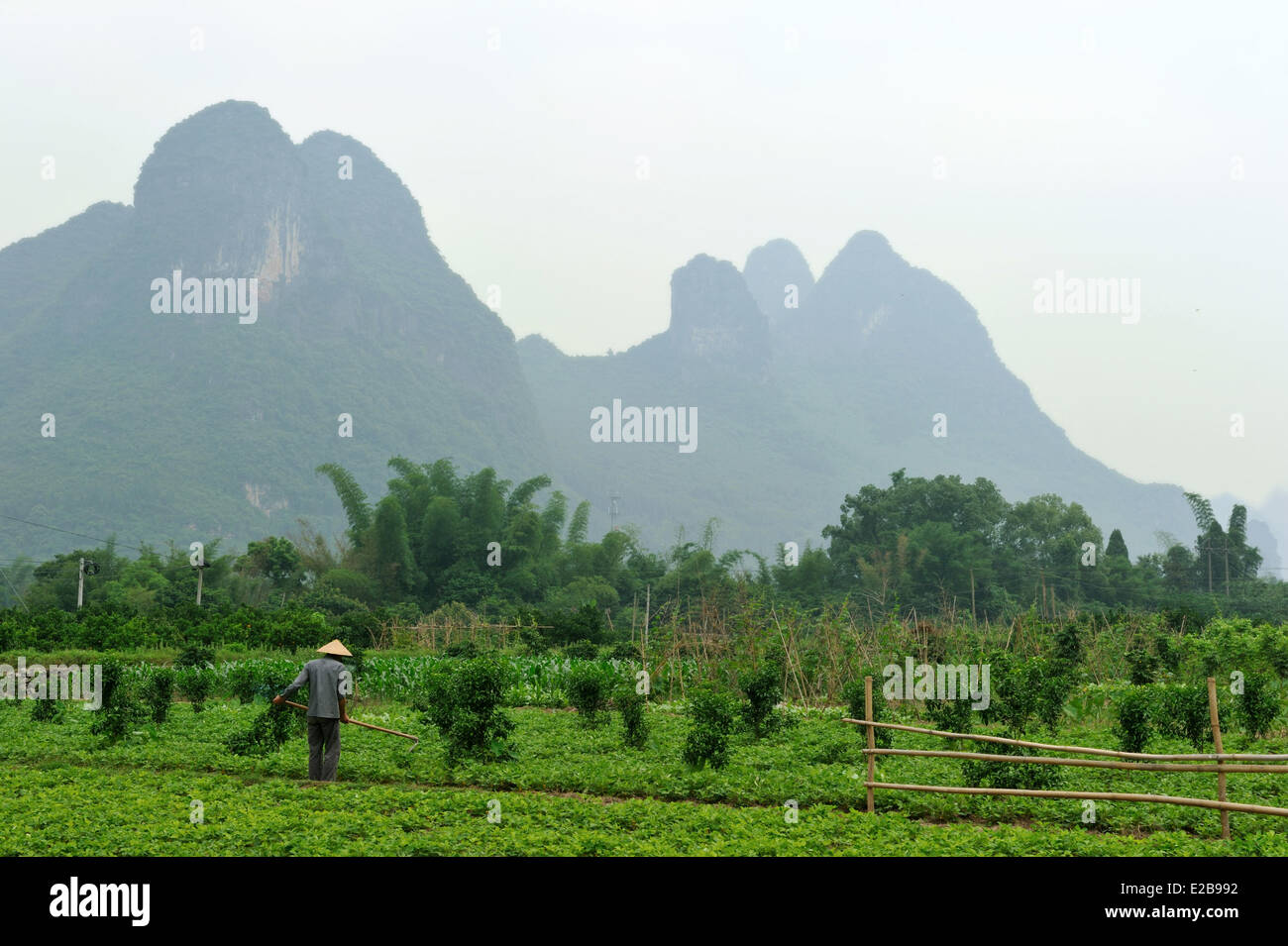 China, Guangxi province, Guilin region, Karst mountain and rice field landscape around Yangshuo Stock Photo