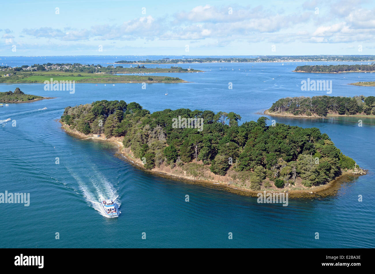 France, Morbihan, Arzon, gulf of Morbihan, Hent Tenn island (aerial view) Stock Photo