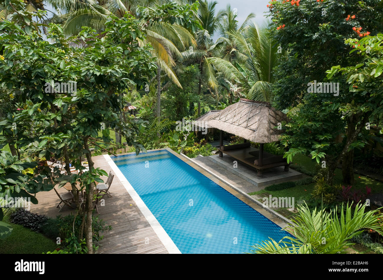 Indonesia, Bali, Tabanan, hotel Puri Taman Sari, swimming pool in the jungle Stock Photo