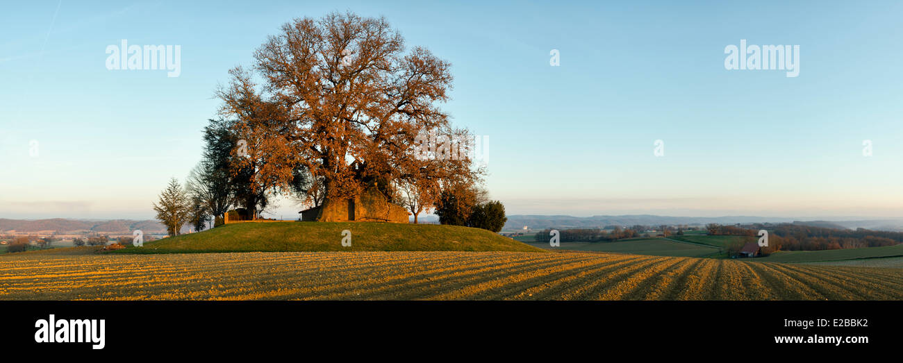 France Gers Saint Elix Theux Oak And Chapel Of Saint Elix Theux Stock Photo Alamy