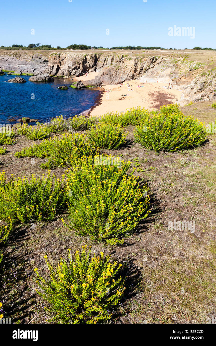 Beach of sables rouis hi-res stock photography and images - Alamy