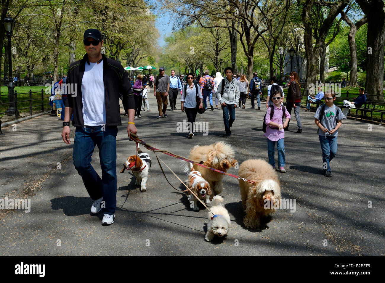 United States, New York City, Manhattan, Central Park, Francesco