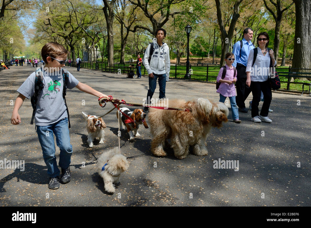 Can Dogs Go To Central Park