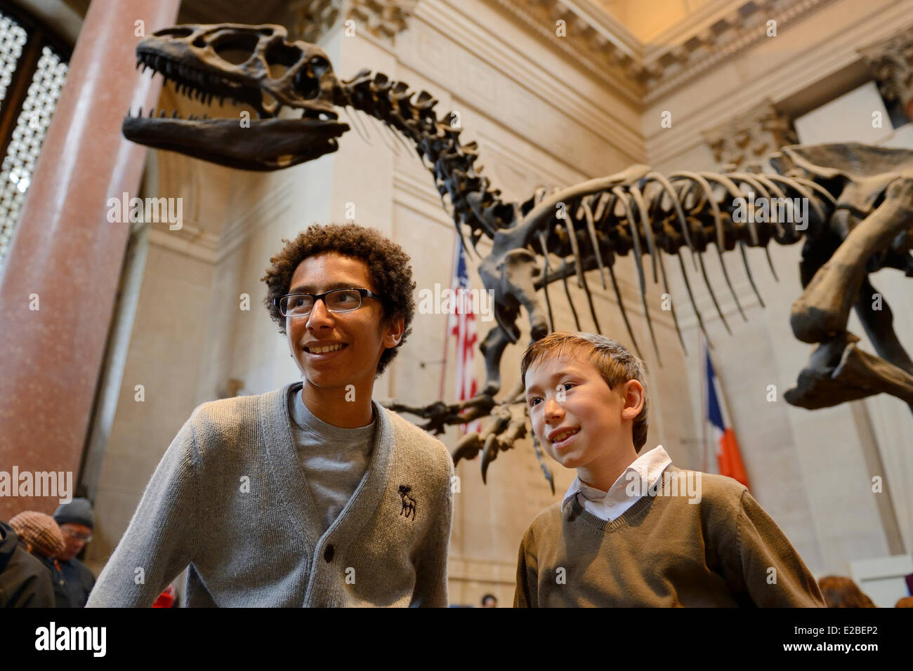 United States, New York City, Manhattan, Upper West Side, American Museum of Natural History, children in the Theodore Roosevelt Rotunda under the skeleton of a Apatosaurus Stock Photo
