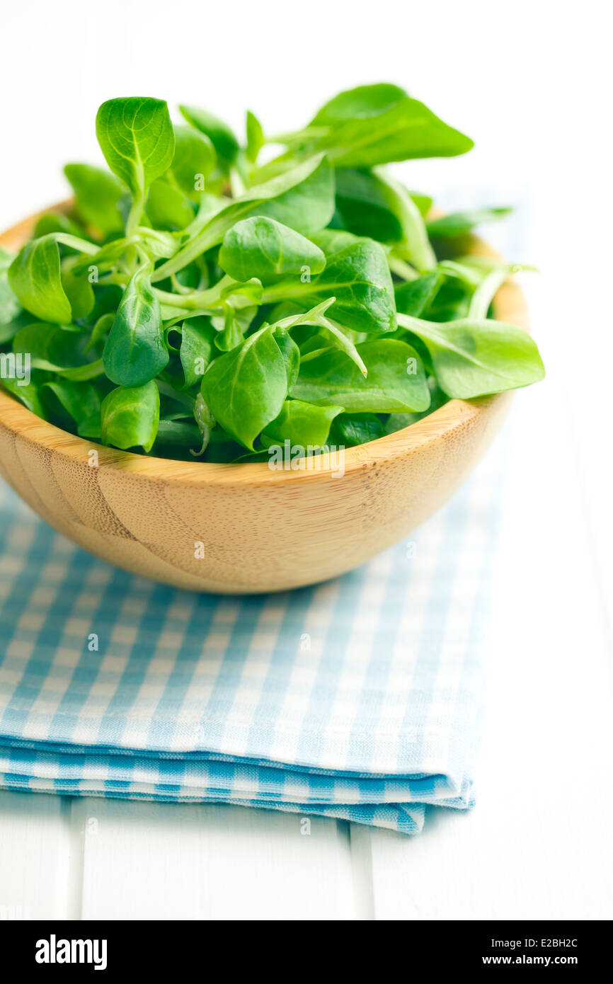 corn salad, lamb's lettuce on white wooden table Stock Photo Alamy