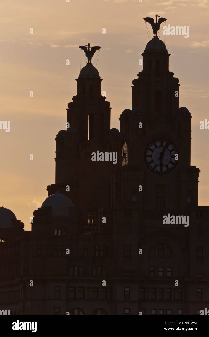 Liver birds on Liver building Stock Photo Alamy