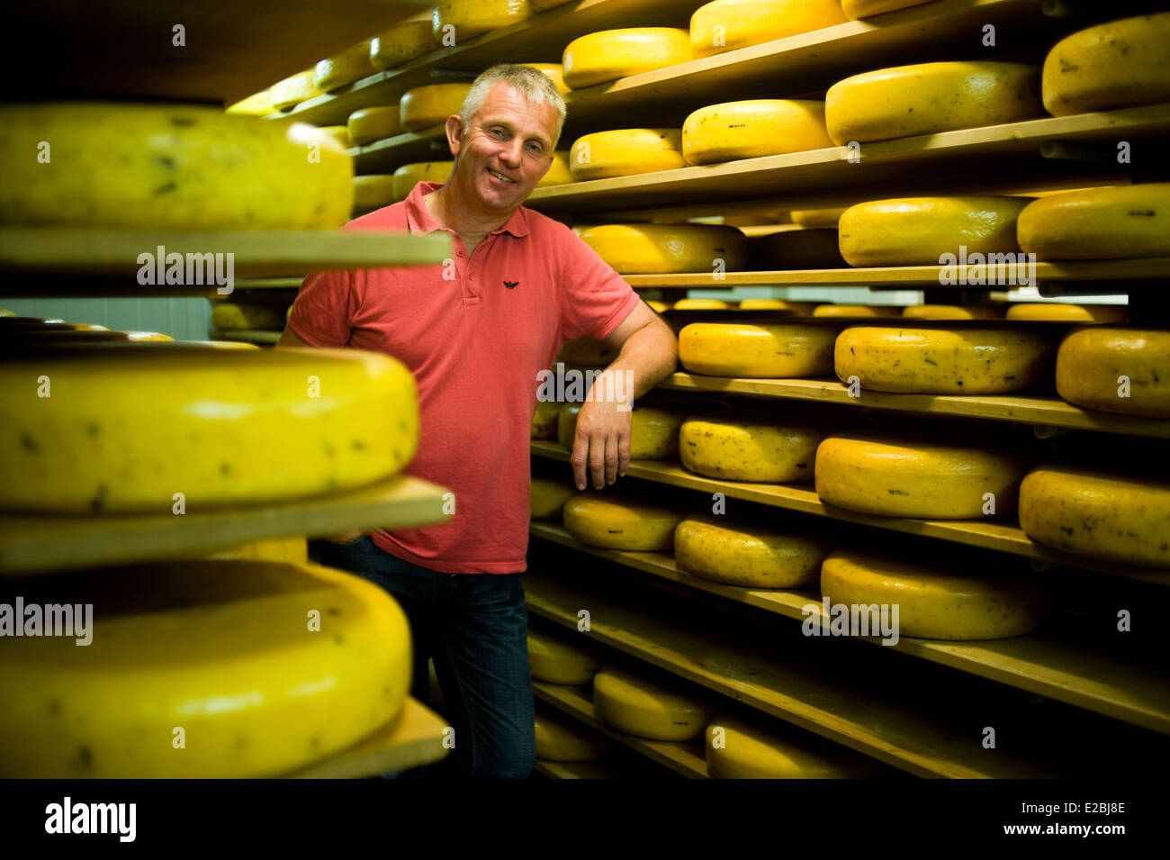 Friesland cheese farm hires stock photography and images Alamy